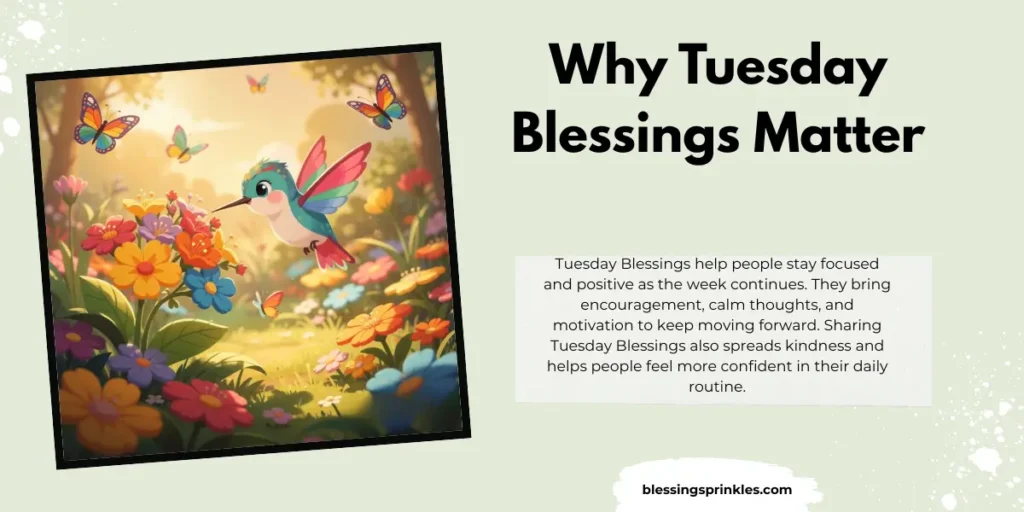 Why Tuesday Blessings Matter